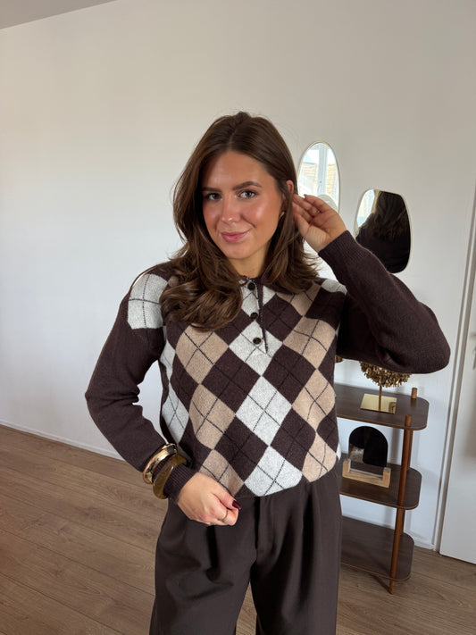 Trui met ruiten met kraag - bruin/beige
